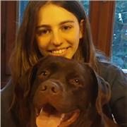 Studentessa, 18 anni di Mogliano Veneto, offre aiuto-compiti/ripetizioni per bambini di elementari e medie di persona/online.